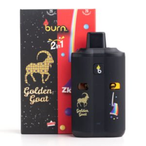 Buy 4g Dual Chamber Disposable Vape Burn in Dubai